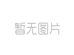 深龙鑫公司八周年庆典