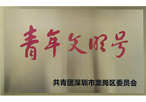 2021年度龙岗区青年文明号