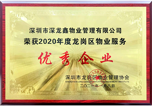 2020年年度龙岗区优秀企业